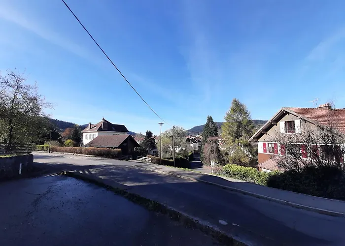 F2 Lumineux En Centre Ville - Gerardmer