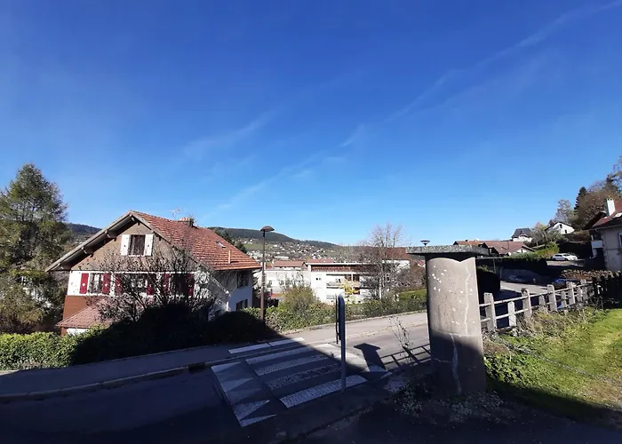 F2 Lumineux En Centre Ville - Gerardmer
